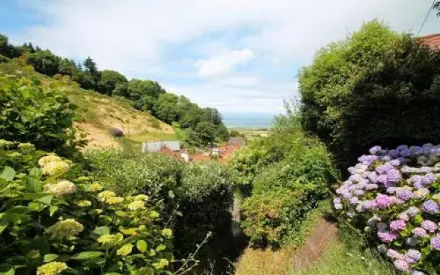 Halsecombe Cottage