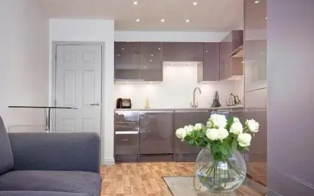 Castle Mews