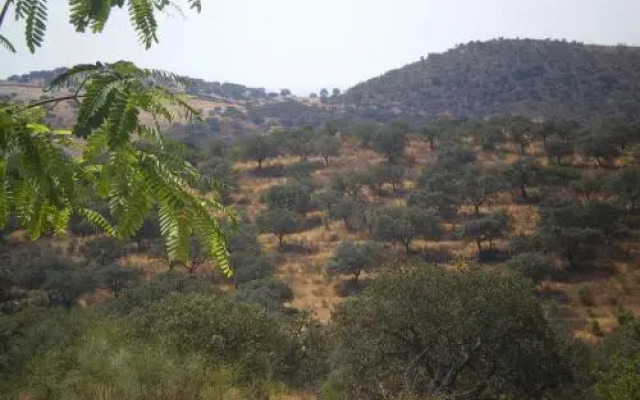 Casa Rural La Aulaga