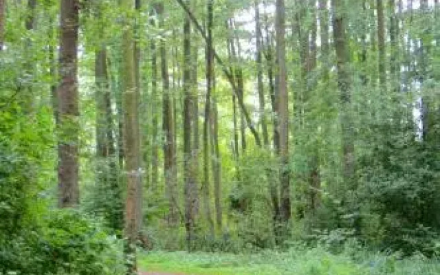 Urlaub bei Charly - App. Paradies