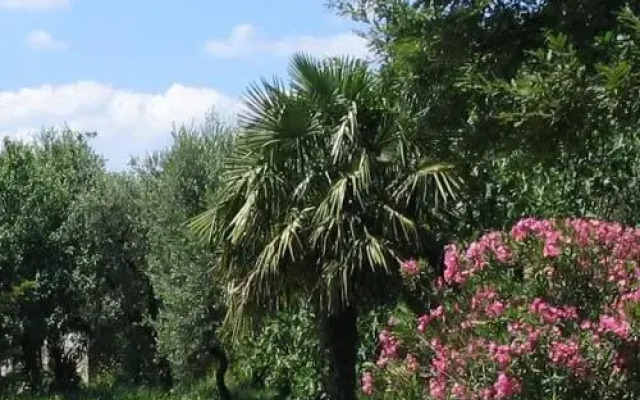 Agriturismo Villa Gioia