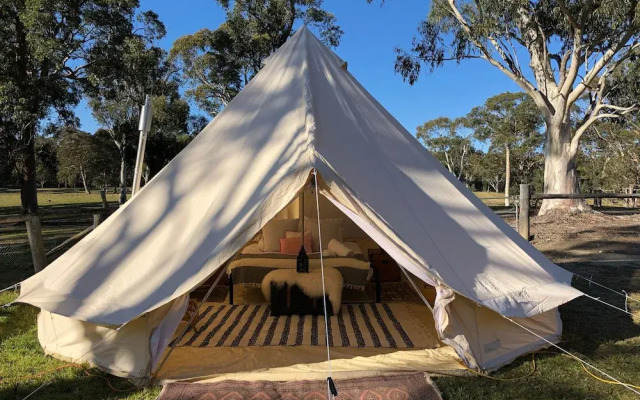 Wild In Style for Glamping