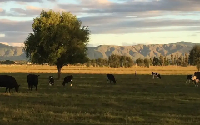 Penhaven Farm Stay