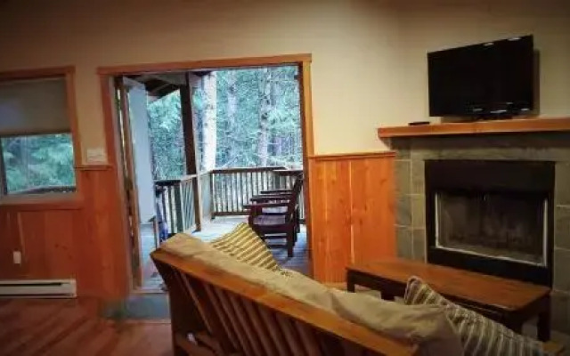 Evergreen Forest Cabins