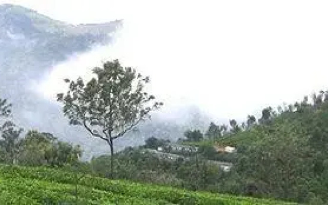 Deccan Plaza Hotel - Ooty