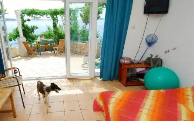 Studio Robinzon Flora & Fauna