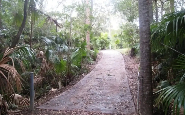 SWR Rainforest Retreat 1