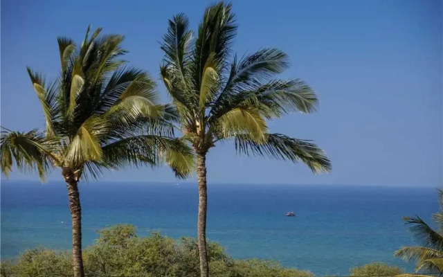 Maui Kamaole M-104 - 1 Br Condo