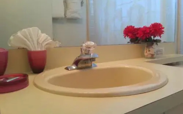 Florida Dream Homes Kissimmee Collection