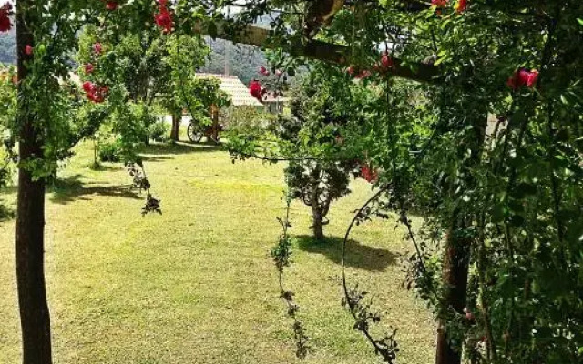 Café e Cabanas Lenha no Fogo