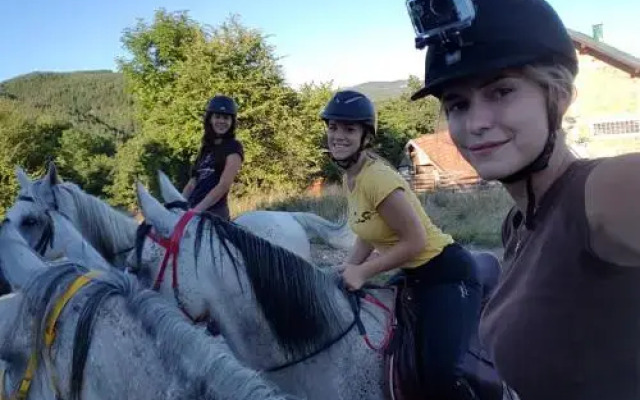 Apartments Agrotourism Equestrian