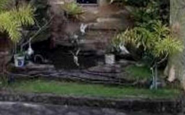 Penginapan Tegal Indah