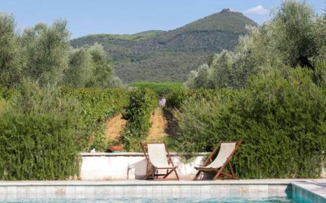 Agriturismo Tra Gli Ulivi