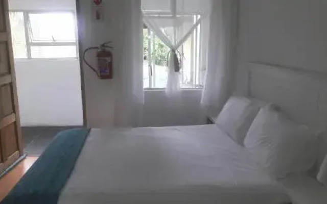 Palm Tree Guesthouse
