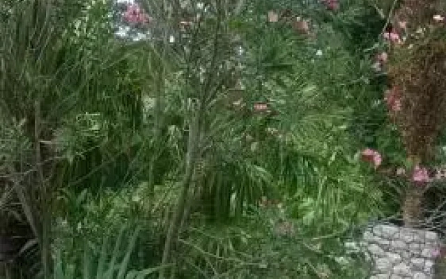 Jasmina Guesthouse