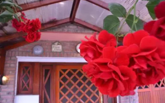 Rosas Rojas Departamentos