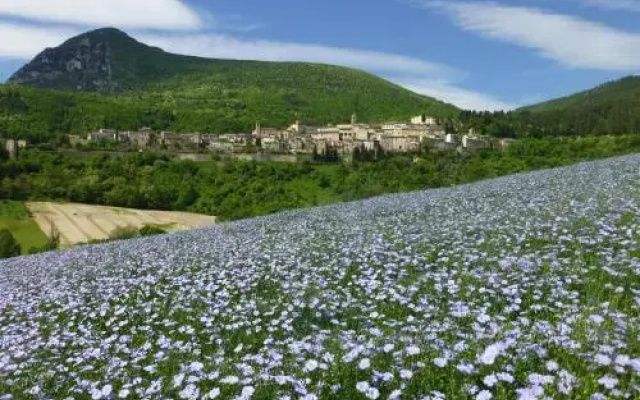 Country House Le Grazie