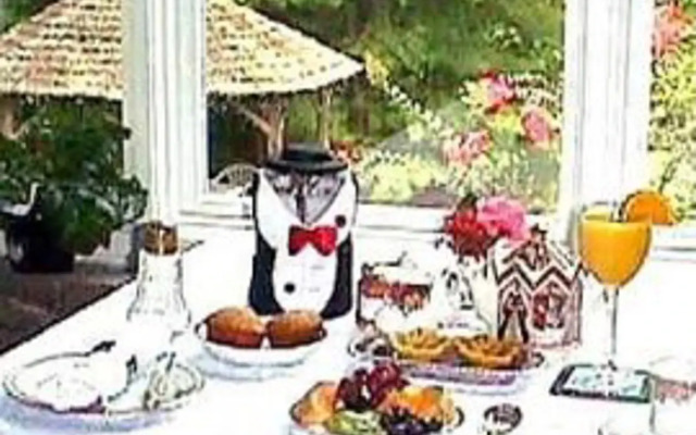 The Tudor House Bed & Breakfast