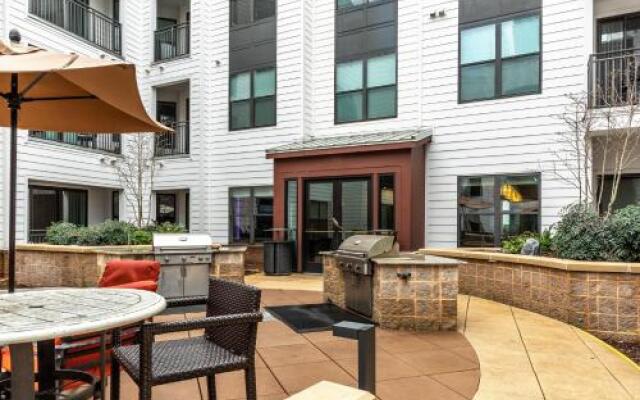 Stay Alfred on Morehead