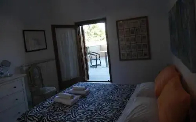 Rosa Spina B&B