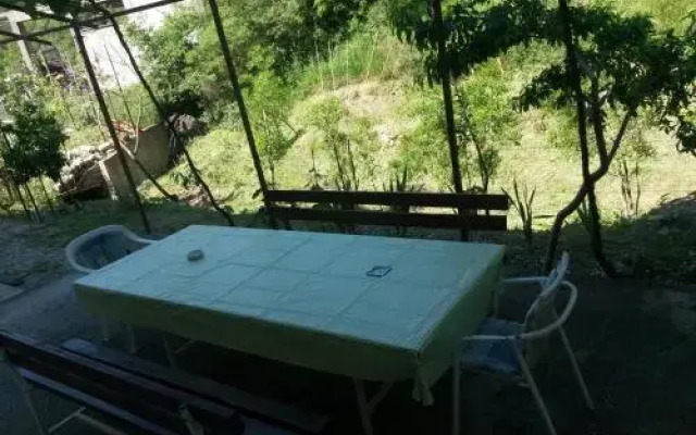 Guest House Pod Lozom