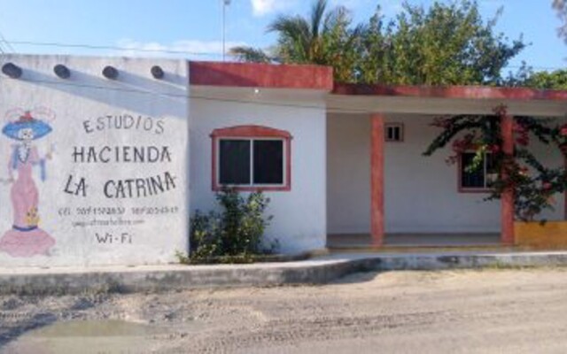 Estudios la Catrina