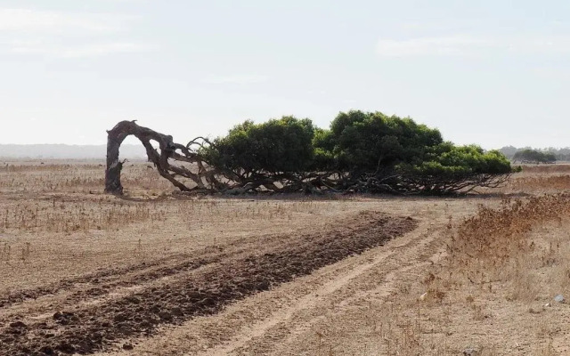 Champion Bay Apartments