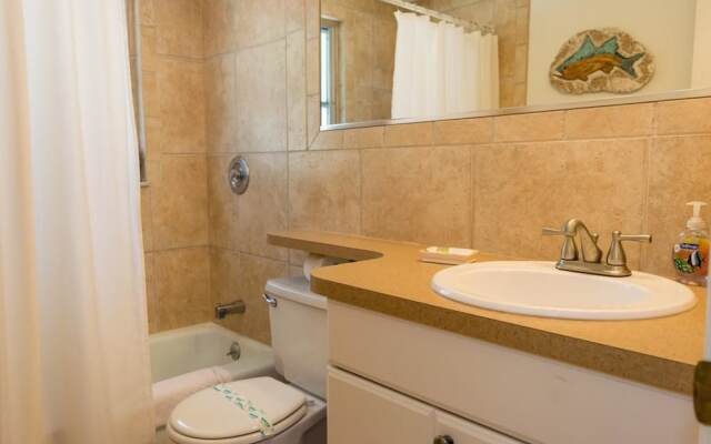 MI Happy Place - Sea Turtle 4