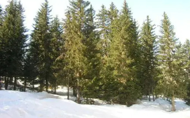 Hivernelles