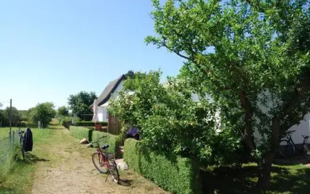 Ferienwohnung Hiddensee in Vitte