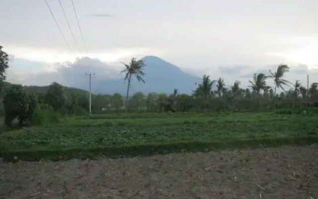 Mesari Homestay & Warung