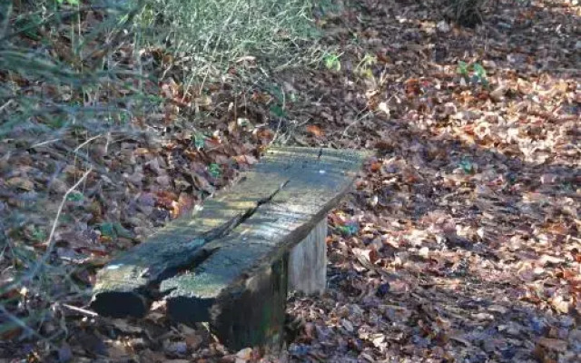 De Hagmolenbeek Boekelo