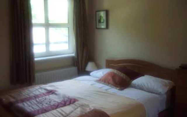 Elderberry B&B