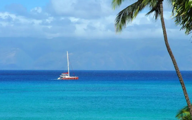 Polynesian Shores 111 by RedAwning