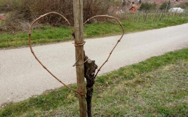 Holiday Home Rue du Finkwiller