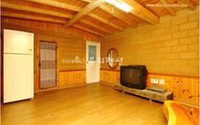 Danyang Hwangjeongsan Pension