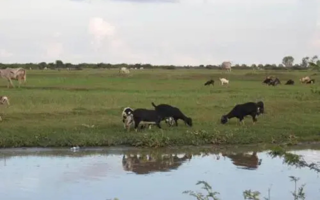 The Siem Reap Countryside