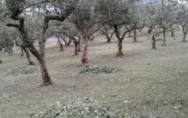El Secreto Campestre
