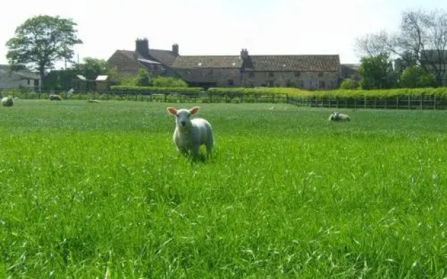The Granary