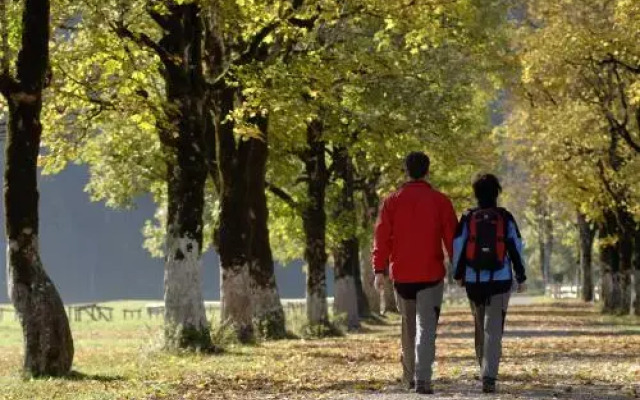 Ferienwohnung Nebelhornblick