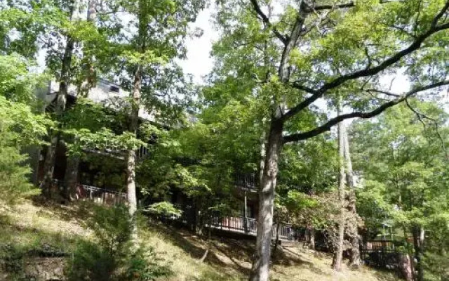 Bella Paradiso Vacation Rentals