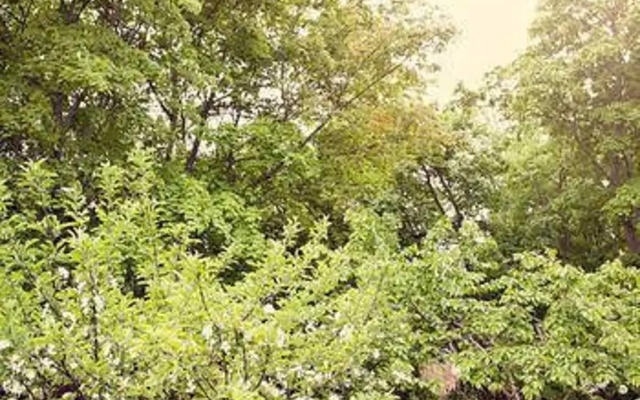 Sweet Dreams Heritage Inn