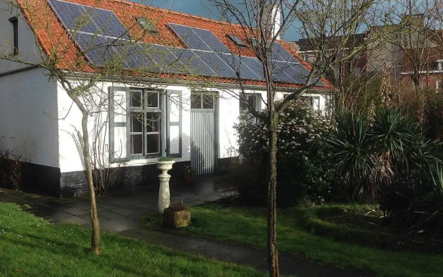 Blauwvoet
