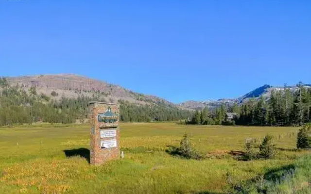 Sun Meadows