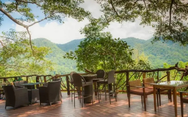 The Giant Chiangmai