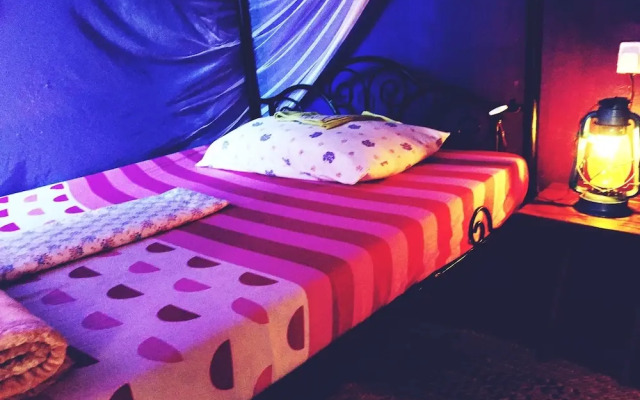 Banana Farm Hostel