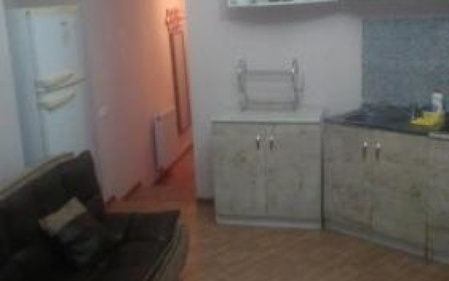 Apartment Iashvili
