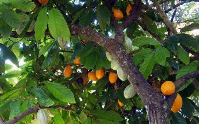 Pousada Nossa Senhora D'Ajuda