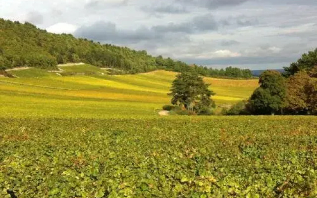 Hameau de Blagny