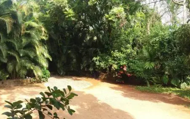 Nature Tourist Inn